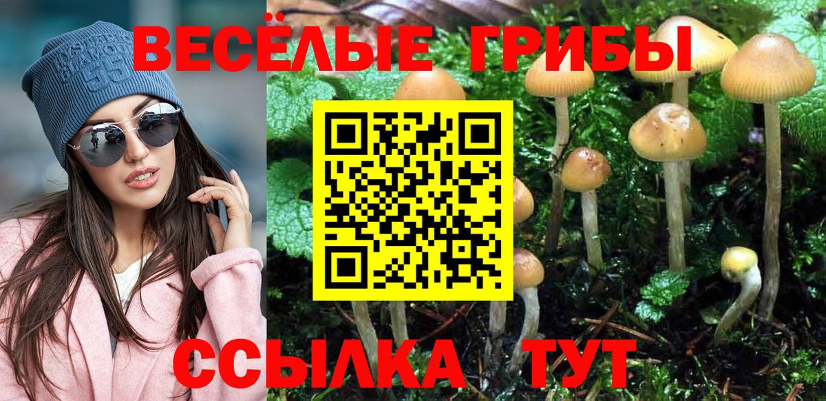 Воскресенск  Галлюциногенные грибы Psilocybe  Вход с VPN 