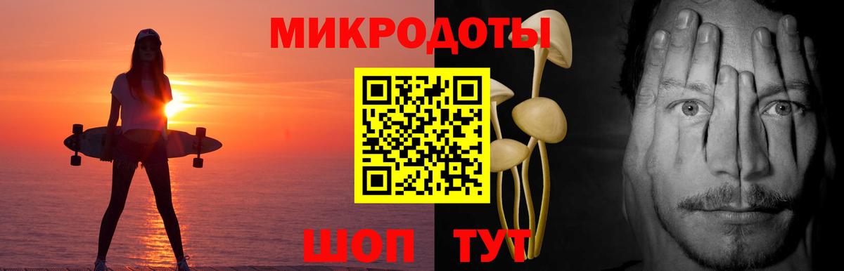 Галлюциногенные грибы Psilocybine cubensis Воскресенск